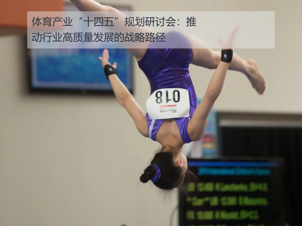 体育产业“十四五”规划研讨会：推动行业高质量发展的战略路径
